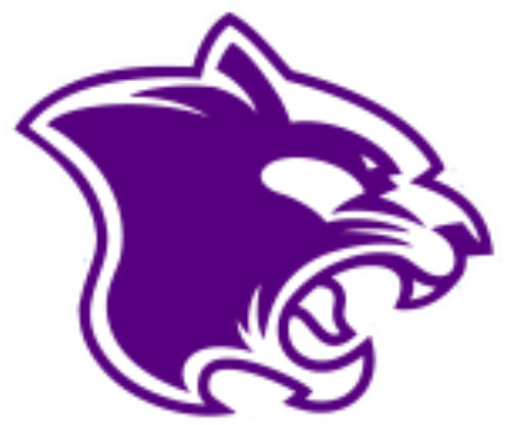 Perspective The Panther Party - Panther Head Clip Art (512x512)