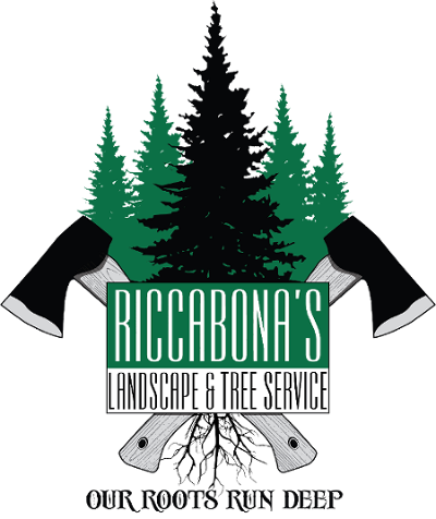 Riccabona's Landscape & Tree Service - Riccabona's Landscape & Tree Service Inc. (400x476)