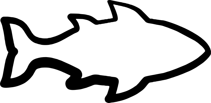 Kooziez - Outline Of A Fish (804x393)