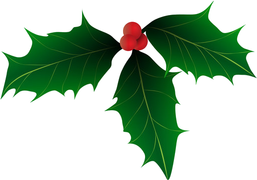 Holly-521x370 - Christmas Holly Vector Art Free (521x370)