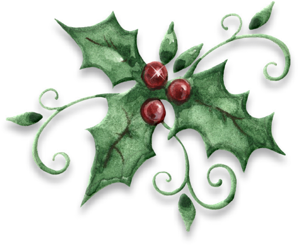 Sasb Gj Graphic Holly - Holly Graphic (633x529)