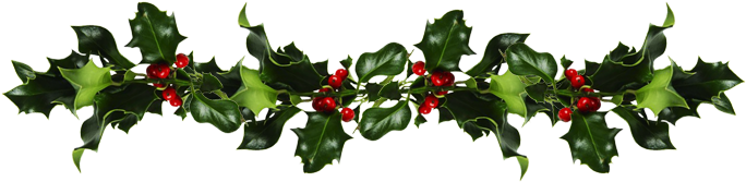 Holly And Mistletoe - Mistletoe And Holly Png (720x200)
