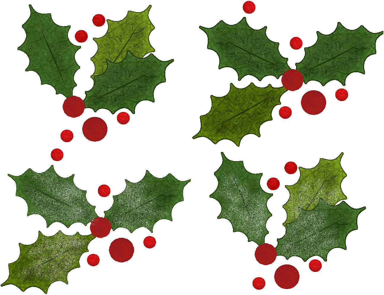 Christmas Ilex Variations - Christmas Cherry Png (1294x996)
