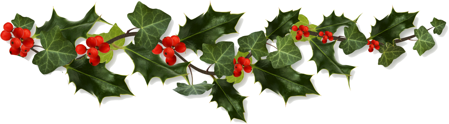 Holiday Shipping Information - Christmas Holly Transparent Png (1513x432)