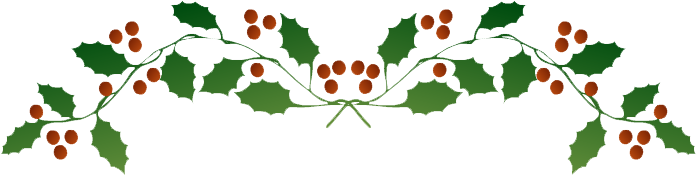 Holly Lights Png Picture - Illustration (700x185)