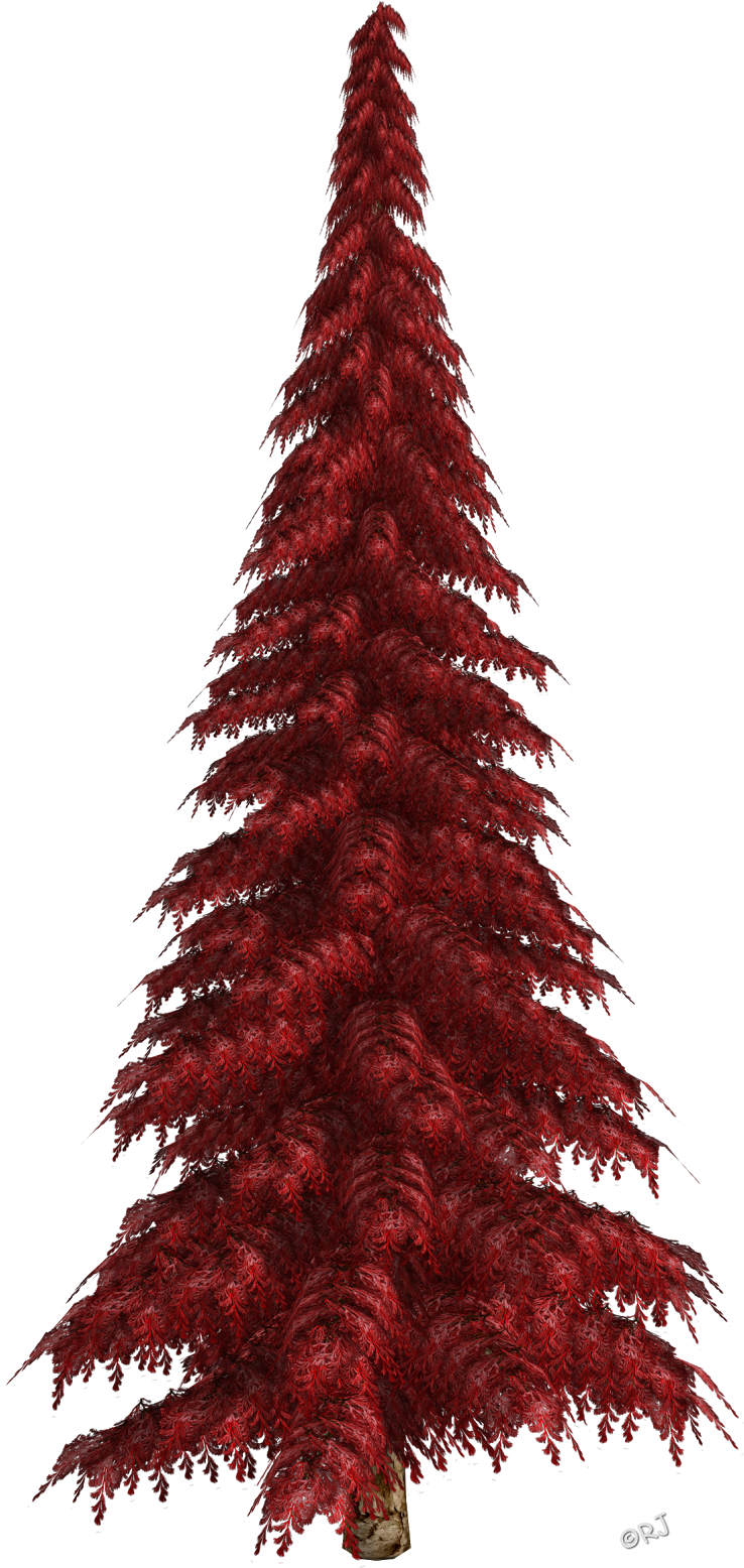 Winter Trees & Christmas Trees - Christmas Lights (763x1600)