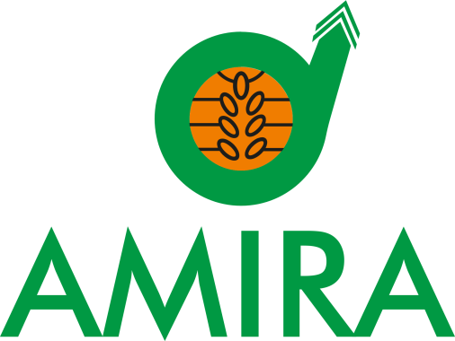 Amira Nature Foods Ltd Announces It Is A Gold Sponsor - First American Equipment Finance Logo (506x380)