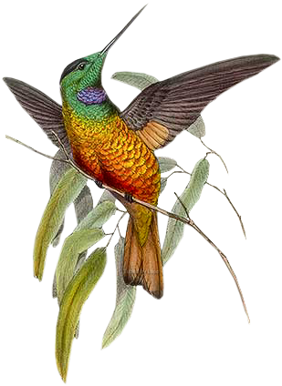 Make Five From One Word Challenge Game - Michel Design Works 14 Count Boxed Notes, Hummingbird (339x440)