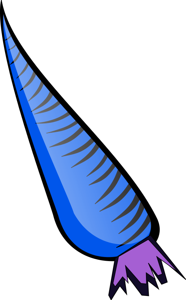 Vector Clip Art - Carrot Clip Art (600x963)