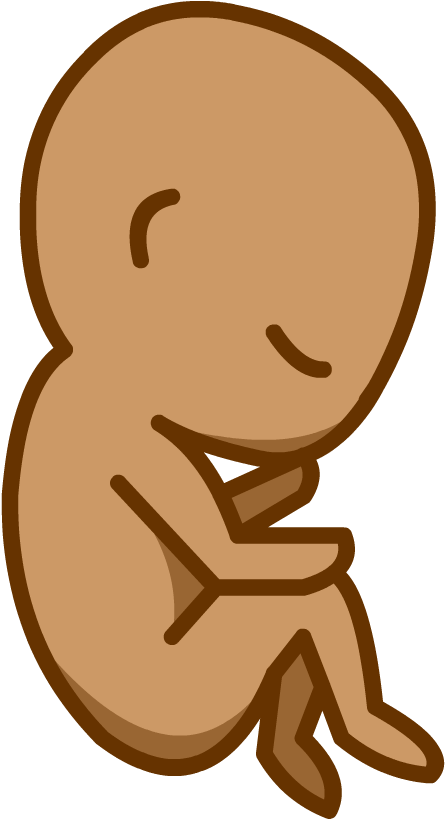 Babies - Brainpop (880x880)