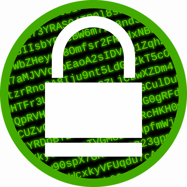 Former Police Officer Jailed For Seven Months For Failing - Encryption Icon Transparent (640x640)