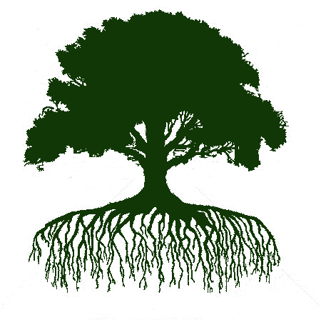 Located At 726 Hwy 29 N, Newnan, Ga, At The Former - Tree Silhouette With Roots (450x448)