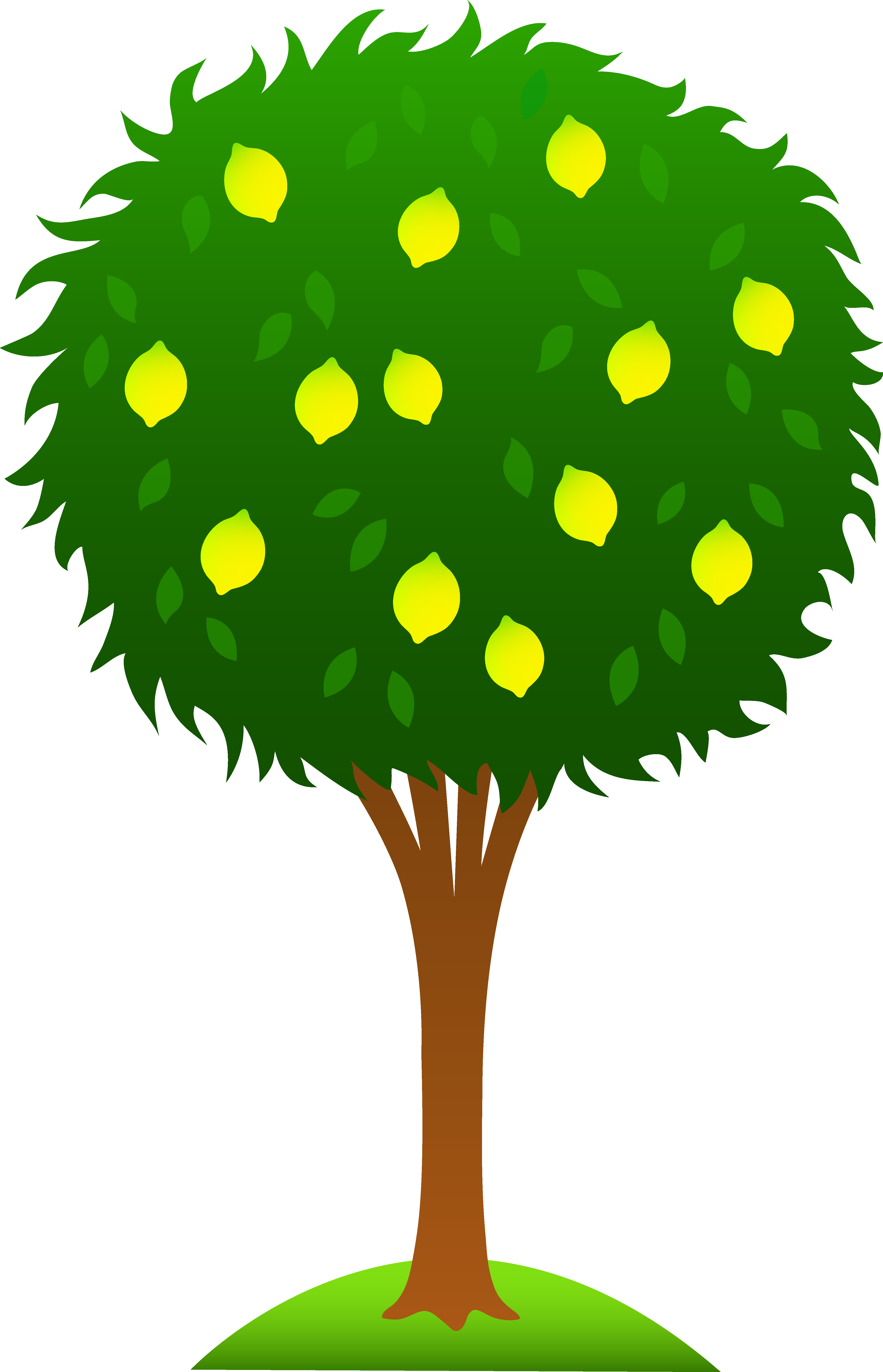 Sitting On A Lemon Tree - Lemon Tree Clip Art (4325x6720)