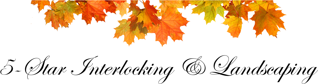 Building Long-term Client Relationships - Chancey Family Lies [book] (1900x400)