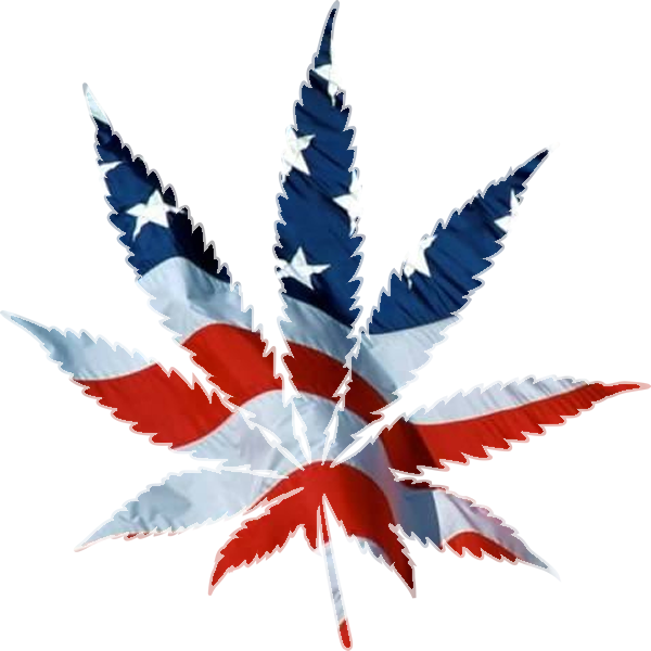 American Flag Marijuana Leaf (600x600)