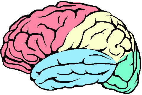 Fresh Clipart Brain Brain Diagram Blank Clipart Best - Dementia And The Brain (480x320)
