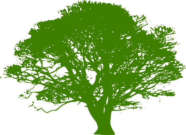 Oak Tree Clip Art Black And White (600x436)