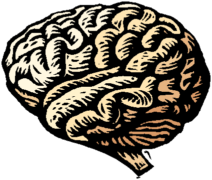 Clipart Brain Transparent - Cute Brain Clipart Transparent Background (424x361)