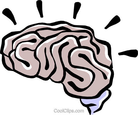 Human Brain Royalty Free Vector Clip Art Illustration - Brain Clip Art (480x402)