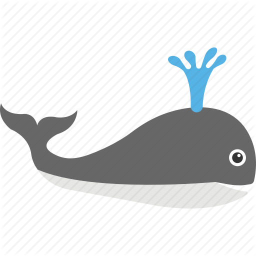 Orca Clipart Arctic Whale - Cetacea (512x512)
