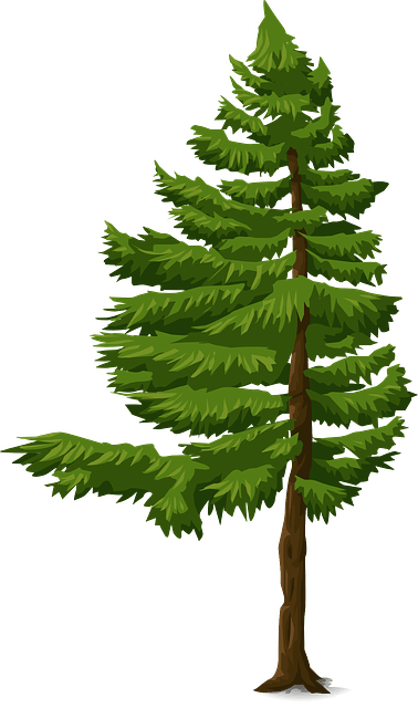 Gambar Animasi Pohon Cemara (378x640)