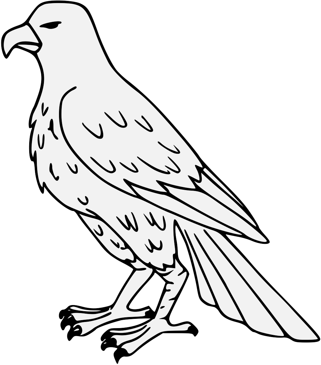 Drawn Falcon Svg - Falcon Drawing Png (1045x1187)