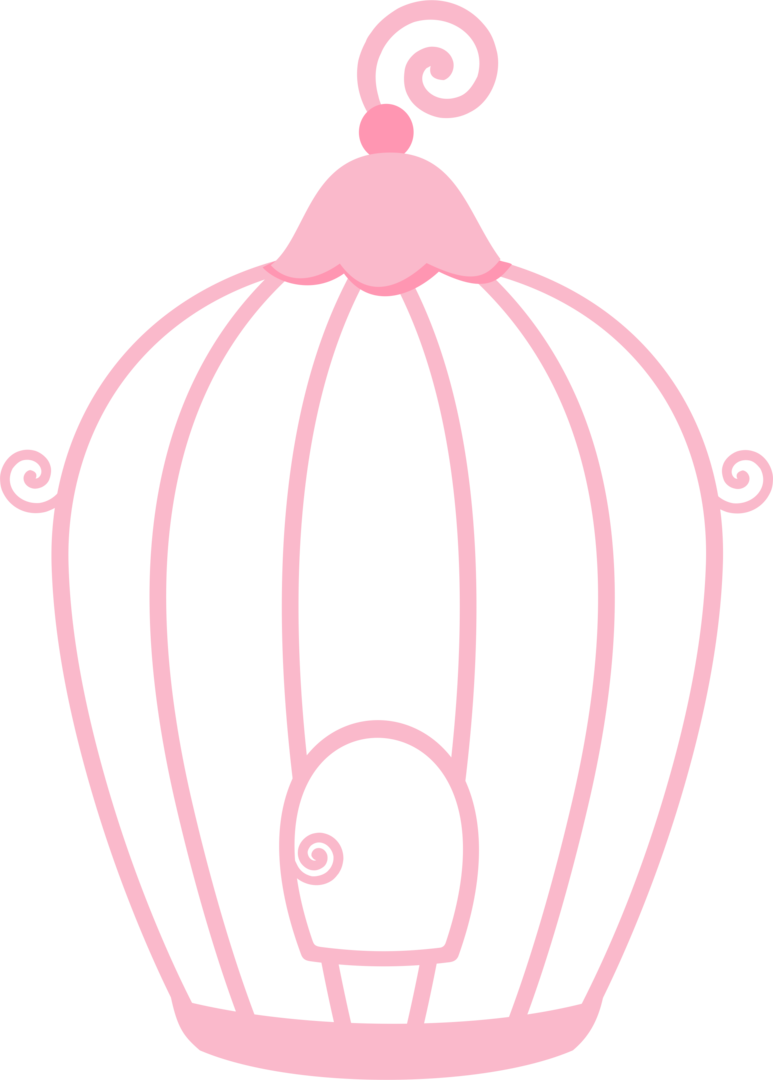 Bird Cages - Jaulitas Png (773x1080)