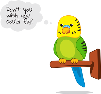 Pet Clipart Pet Bird 10 392 X 323 Dumielauxepices Net - Taking Care Of Pet Birds Clipart (392x323)