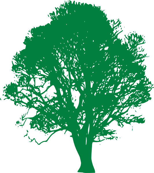 Green Tree (534x600)