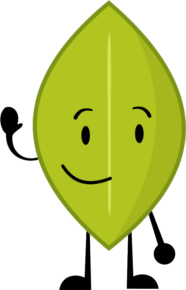 Image Object Oppose Leaf Png Battle For Dream Island - Bfdi Firey X Leafy (1080x1080)