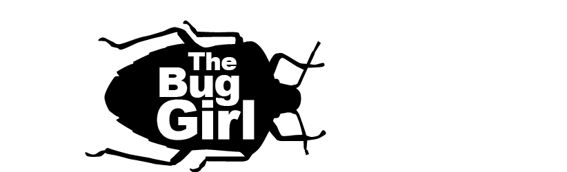 Bug Girl - Bug Girl (822x250)