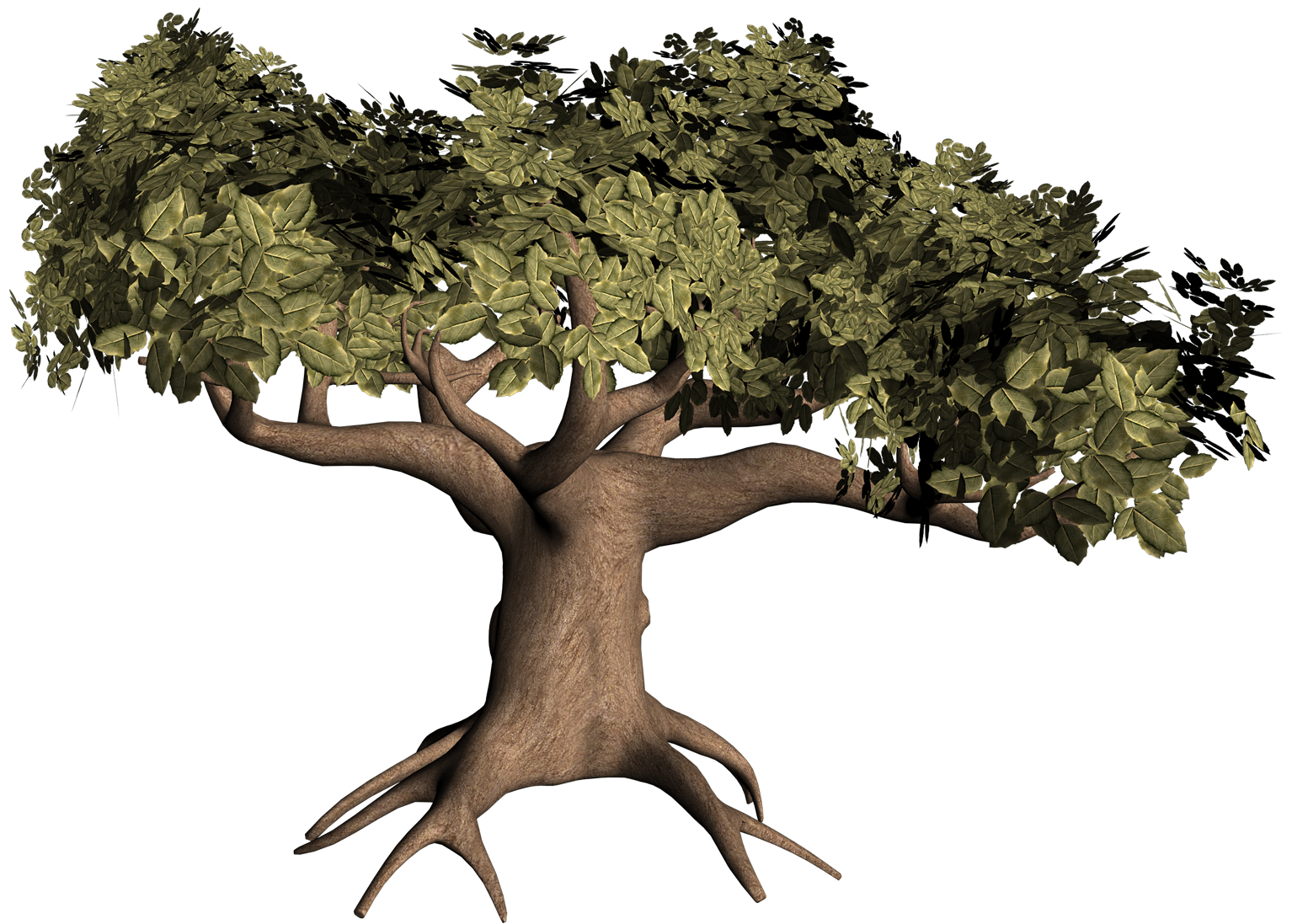 Oak Tree With Roots Clip Art Download - Oak Tree (1600x1131)