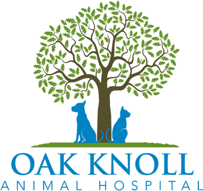 Oak Knoll Animal Hospital - Growing Business With Soul: Practical Spirituality (400x400)