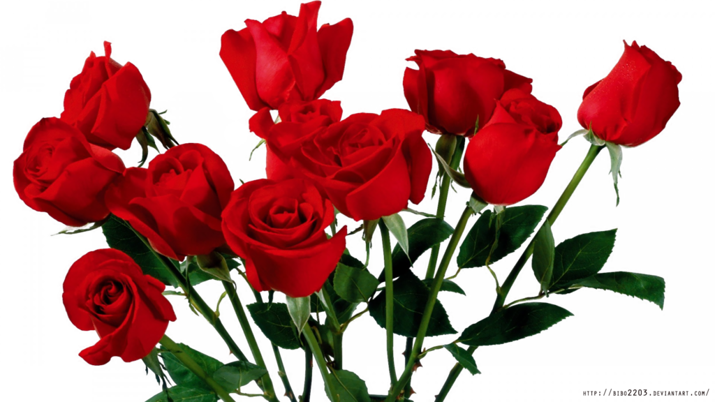 Rose Render Png By Bibo2203 - Aesthetic Red Roses Png (1024x576)