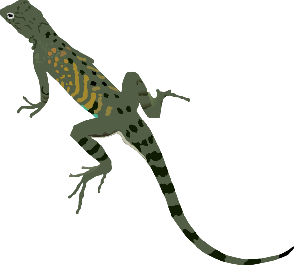 Green Iguana Clip Art - Desert Lizard Clipart (600x541)