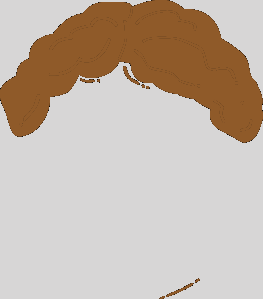 Person With Mustache Cartoon (528x599)