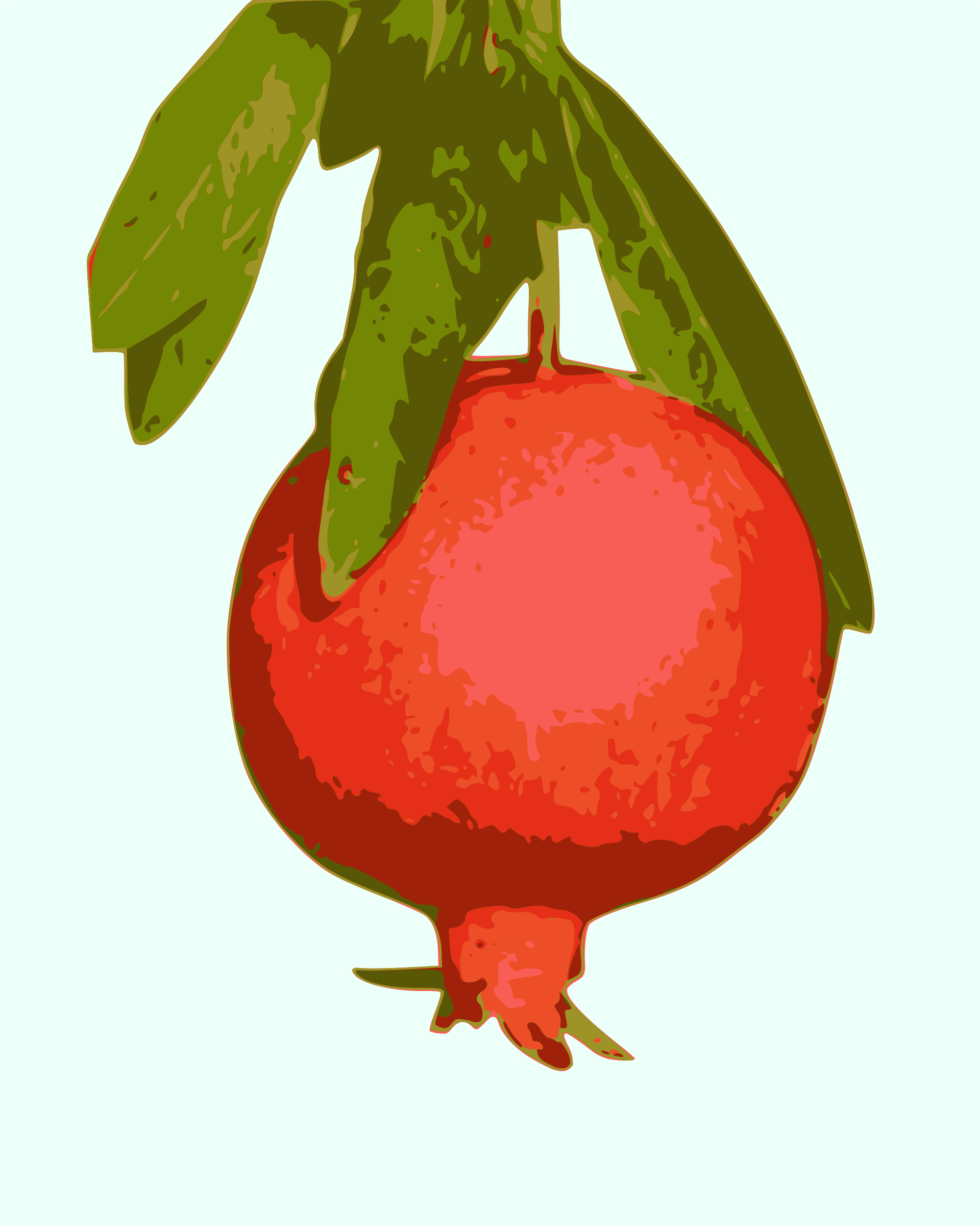 Pomegranate Png - Pomegranate (2000x2500)
