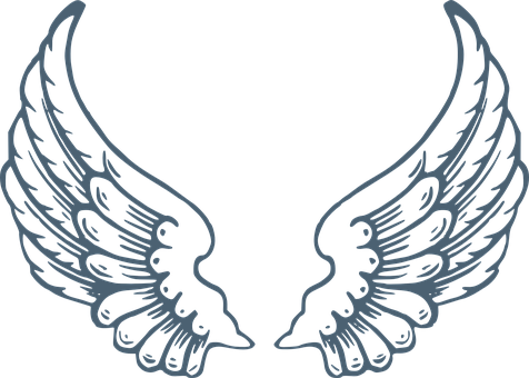 Wings Angel Huge Holy Safe Wings Wings Win - Angel Wings (476x340)
