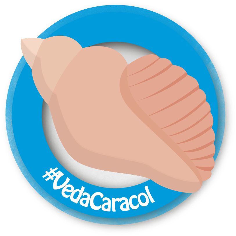 Vedas-01 - Periodo De Veda De Cada Especie (900x900)