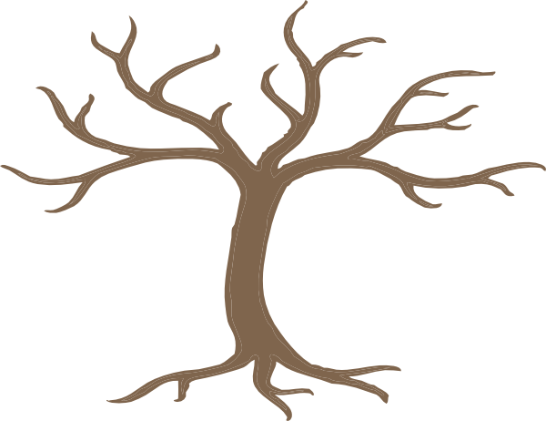 Tree Trunk Outline Clipart 2 By Jeffrey - Bare Tree Clip Art (600x462)