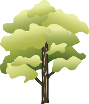 Ian Symbol Acer Pensylvanicum - Striped Maple (343x400)