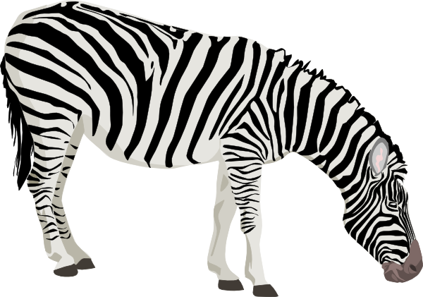 Free Grazing Zebra Clip Art - Зебра Детям (600x421)