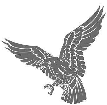 Black Hawk Clipart Awesome Graphic Library U2022 Rh - Hawk Clipart Free (360x354)