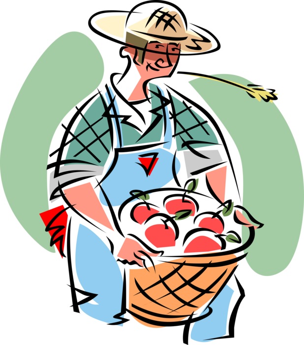 Vector Illustration Of Farmer With Apple Orchard Harvest - Clip Art (618x700)