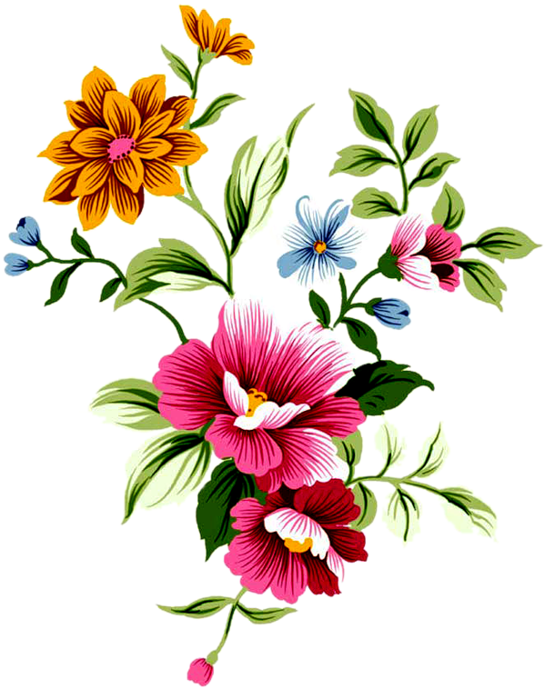 Botanical Flowers, Print Patterns, Embroidery Patterns, - Flower Transparent (678x800)
