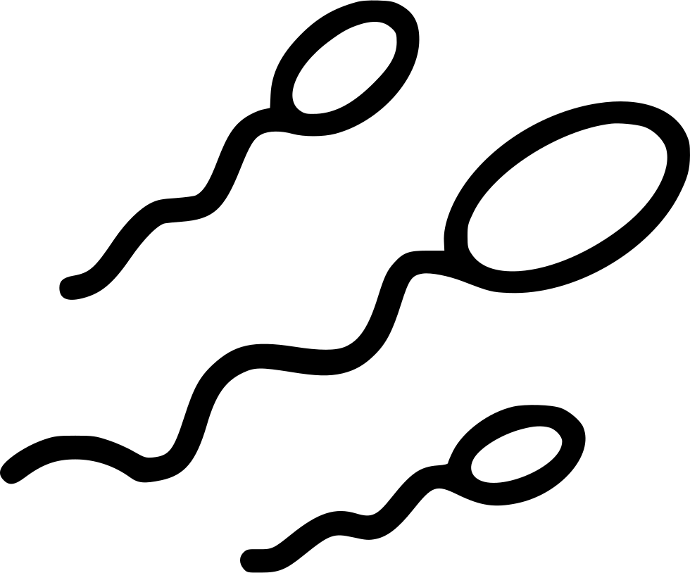 Png File - Sperm (980x814)