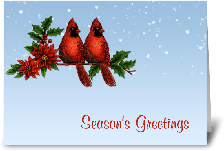 Red Cardinals Season's Greetings Greeting Card - Greeting Card (848x698)
