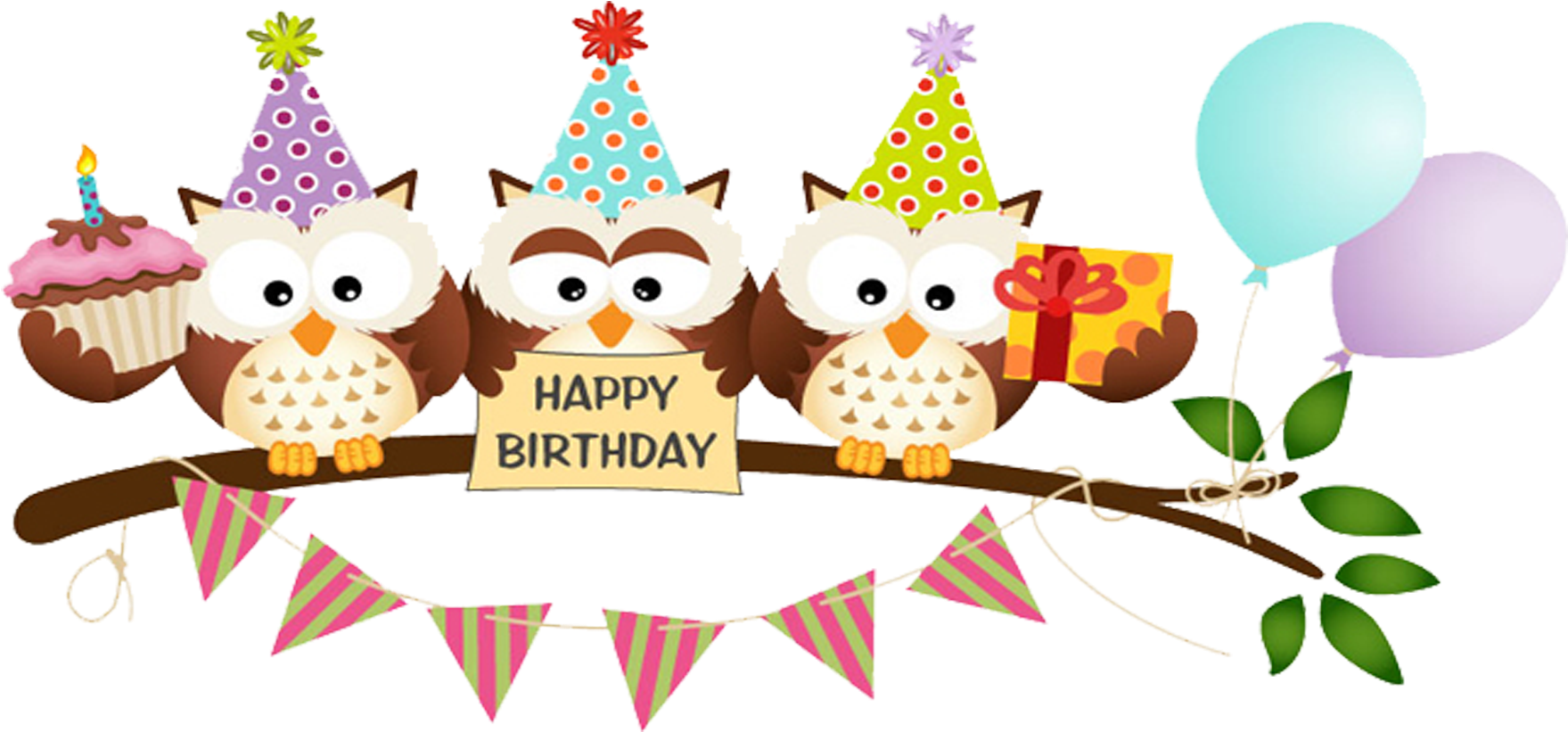 Owl Cartoon Birthday Greeting Card - Owl Cartoon Birthday Greeting Card (2362x2362)