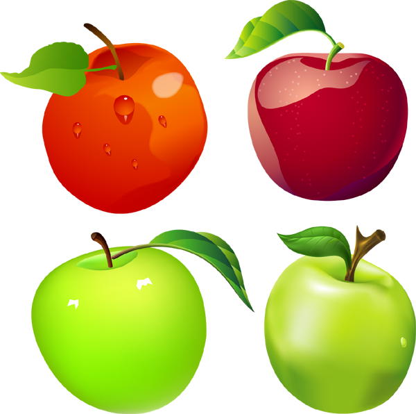Apples Vector (600x596)