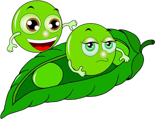 Pea Soybean Cartoon - Cuteness (620x620)